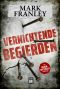 [Ruben Hattinger 02] • Vernichtende Begierden